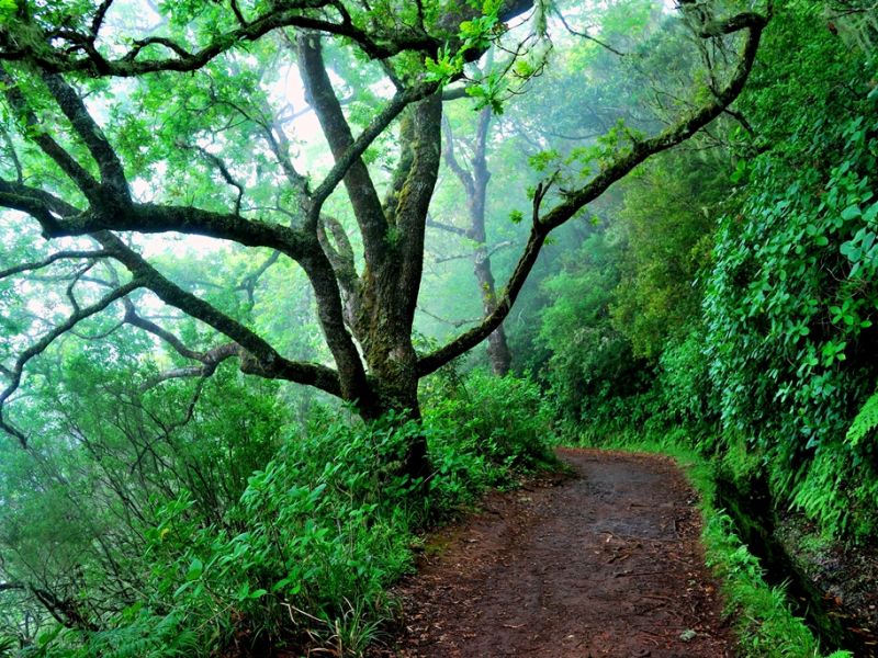 Diversidade_Biologica