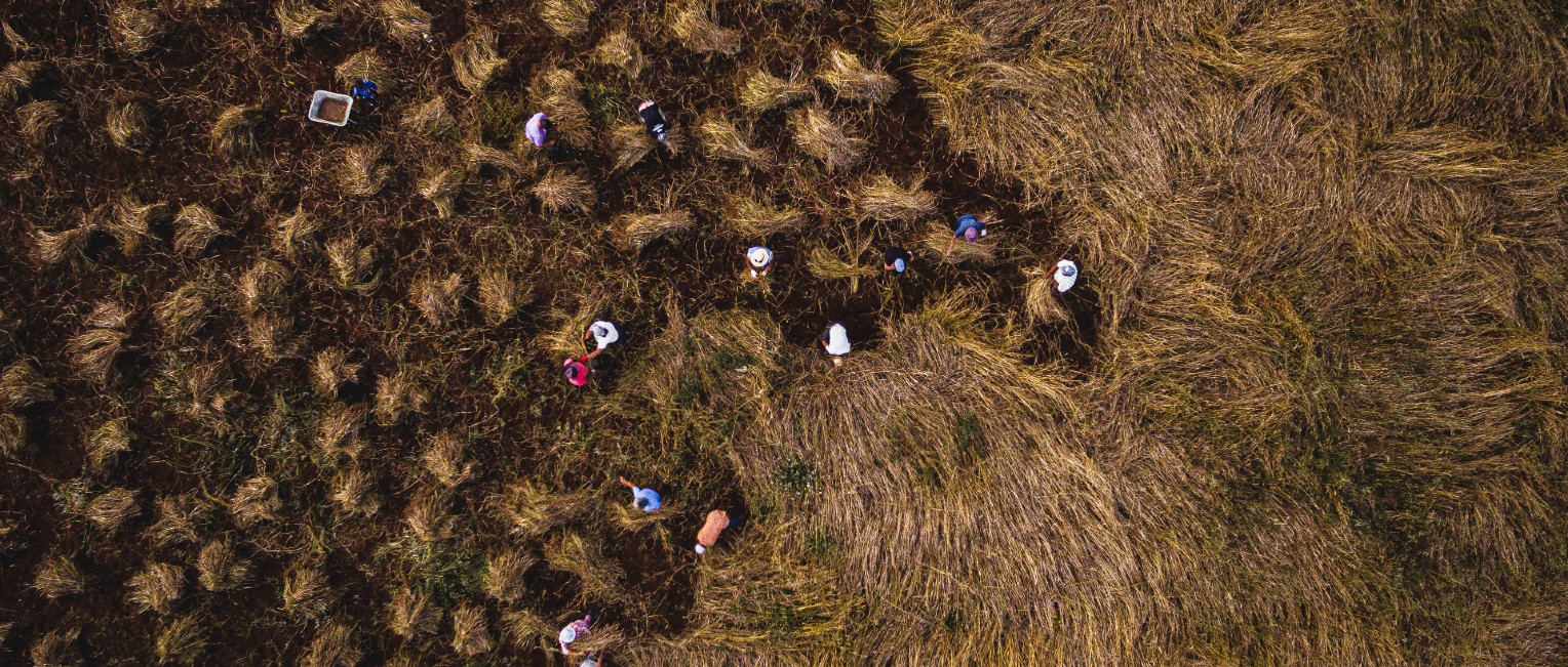 Santana_Madeira_Biosfera