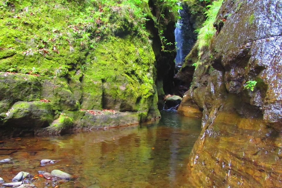 Levada_Faja_Nogueira