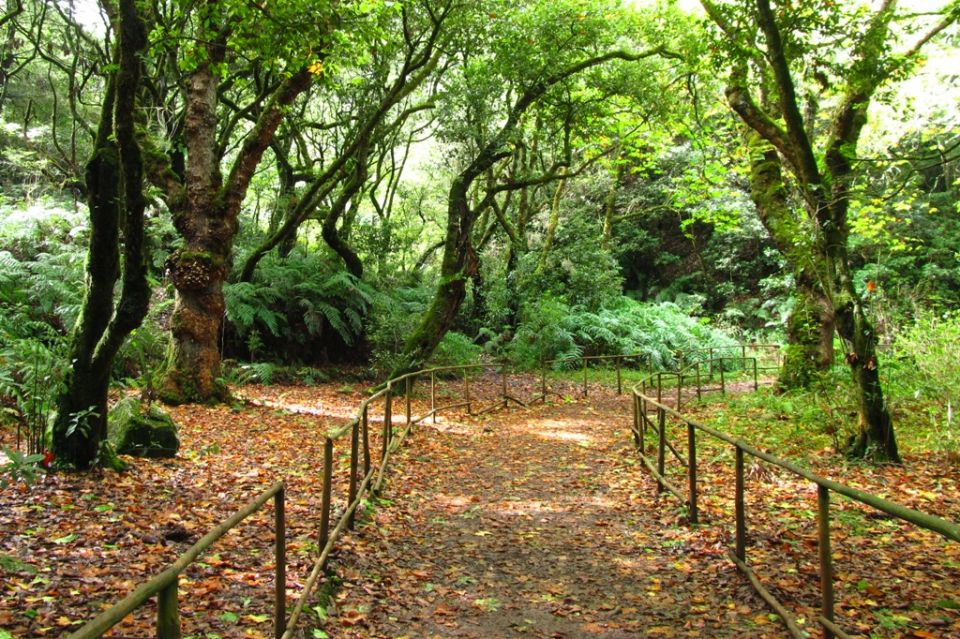 Pico_Pedras_Queimadas